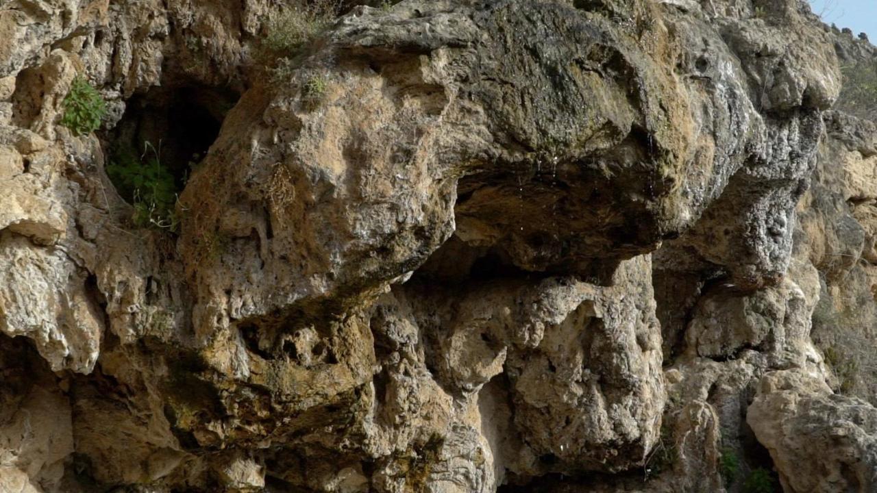 Balneario De Alicun De Las Torres Villanueva de las Torres المظهر الخارجي الصورة